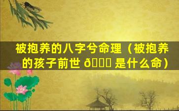 被抱养的八字兮命理（被抱养的孩子前世 🐛 是什么命）